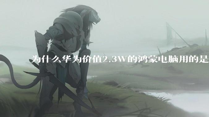为什么华为价值2.3W的鸿蒙电脑用的是美国西数的SN740固态硬盘？